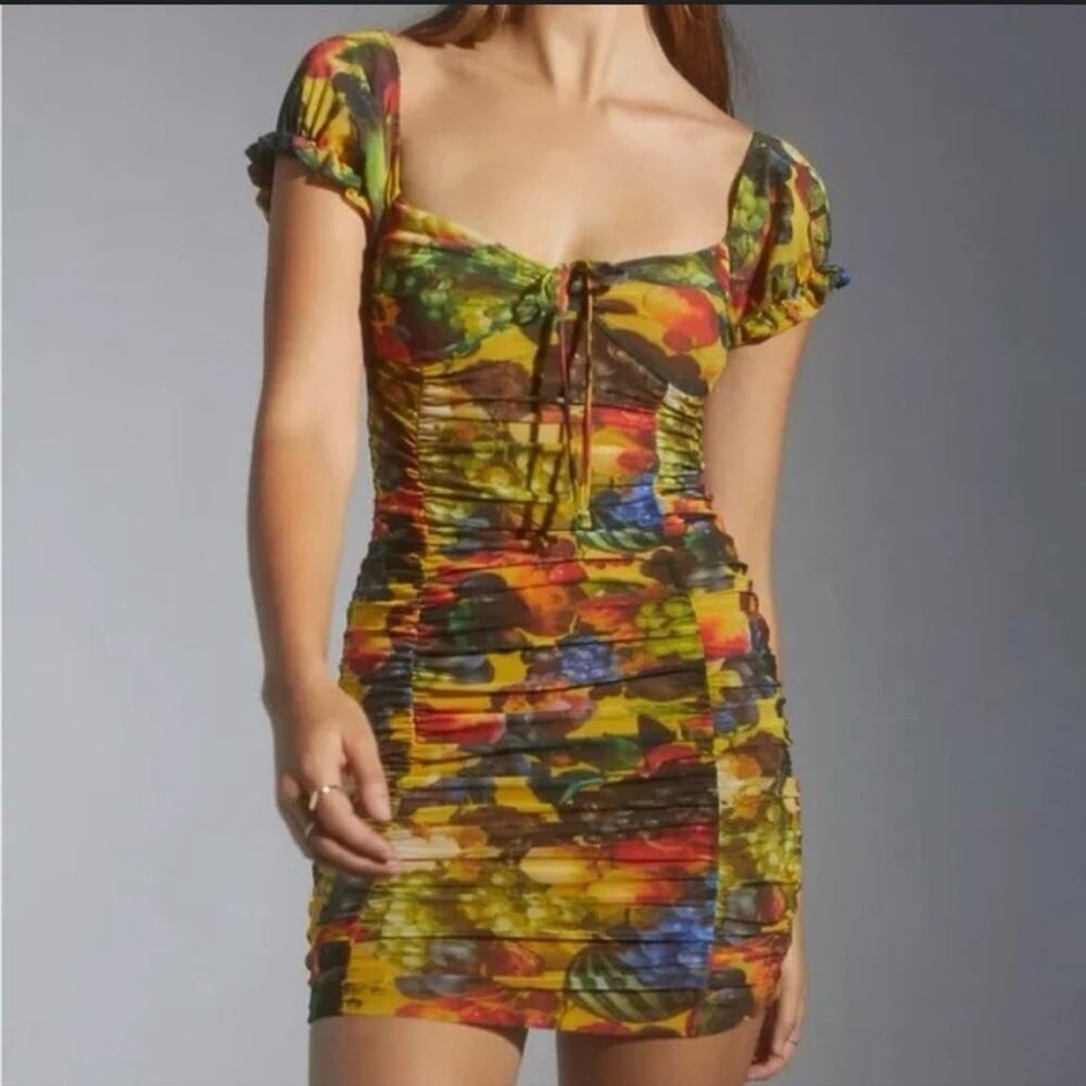 Urban Outfitters Retro Fruit Mesh Mini Dress with Front Ruching, Size Small